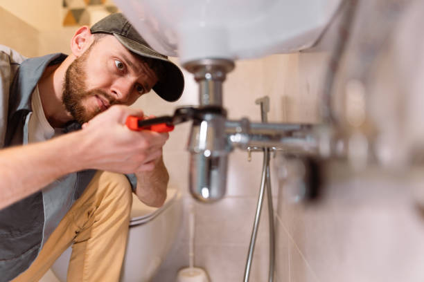 Best Faucet and Fixture Replacement  in St Francis, MN